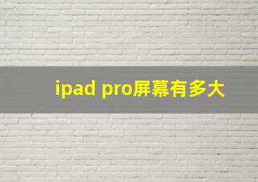 ipad pro屏幕有多大